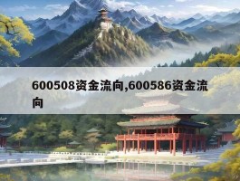 600508资金流向,600586资金流向