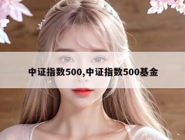 中证指数500,中证指数500基金