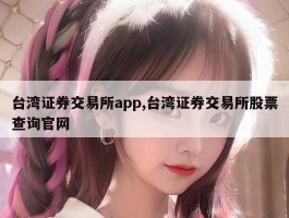 台湾证券交易所app,台湾证券交易所股票查询官网