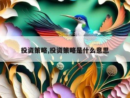 投资策略,投资策略是什么意思