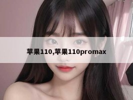 苹果110,苹果110promax