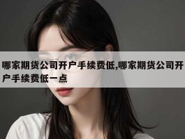 哪家期货公司开户手续费低,哪家期货公司开户手续费低一点