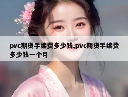 pvc期货手续费多少钱,pvc期货手续费多少钱一个月