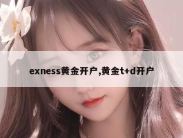 exness黄金开户,黄金t+d开户