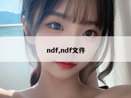 ndf,ndf文件