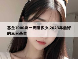 基金1000块一天赚多少,2023年最好的三只基金