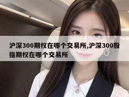 沪深300期权在哪个交易所,沪深300股指期权在哪个交易所