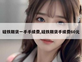 硅铁期货一手手续费,硅铁期货手续费60元