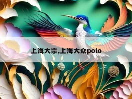 上海大宗,上海大众polo